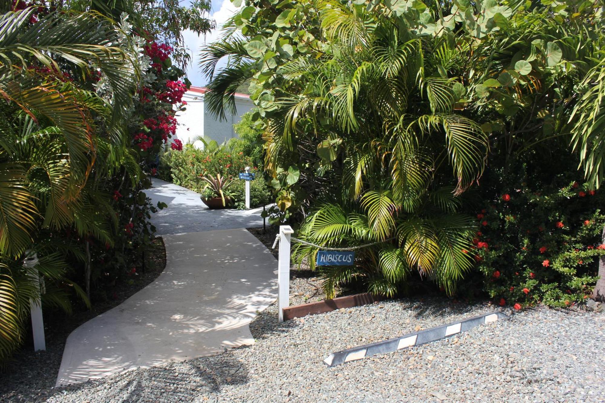 Fantastic Penthouse At Sunset Serenade Suites Cruz Bay 外观 照片